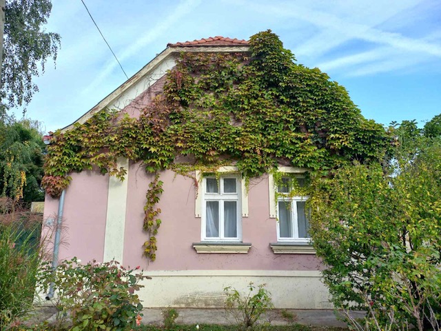 Dervár Júlia - A természet és az épített örökség találkozása